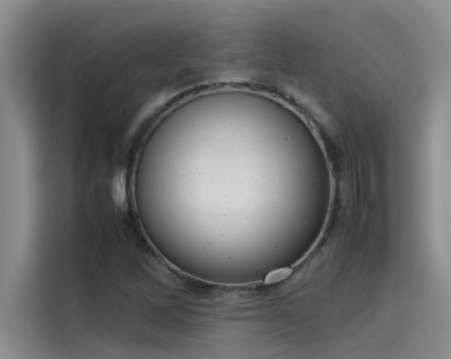 X0000115501262200911131314