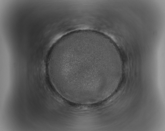 X0000115501263200911131314