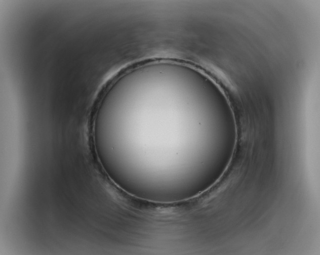 X0000115501264200911131314