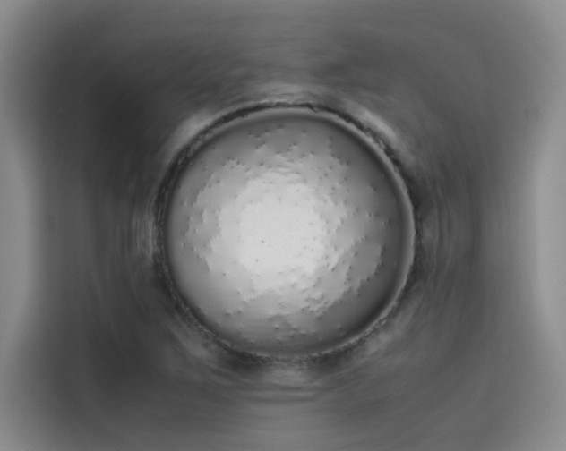 X0000115501267200911131314