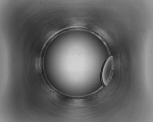 X0000115501268200911131314
