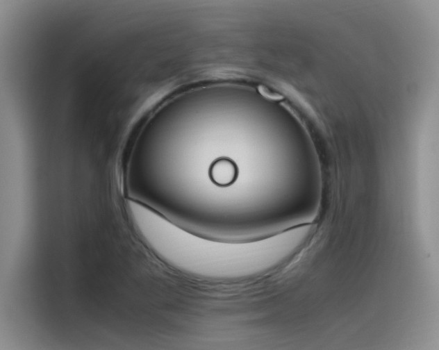 X0000115501269200911131314