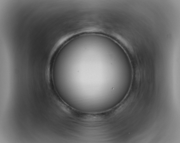 X0000115501270200911131314