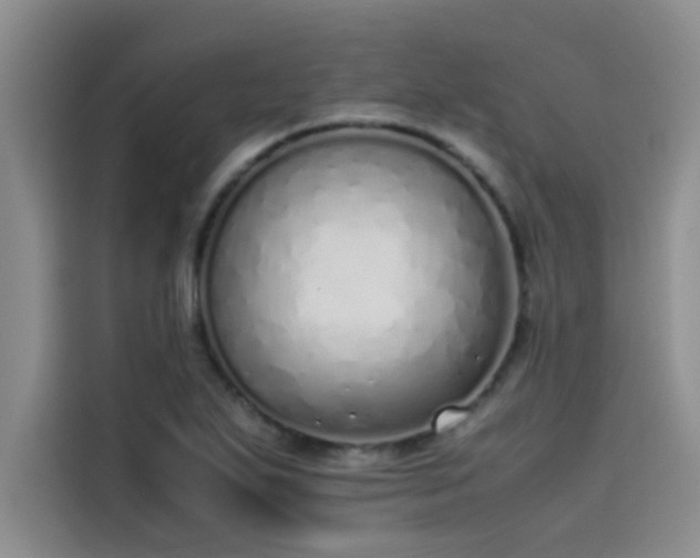 X0000115501271200911131314