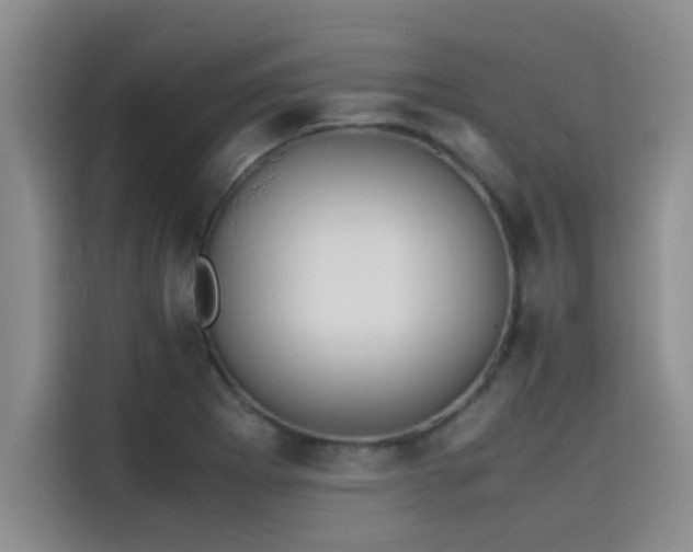 X0000115501273200911131314