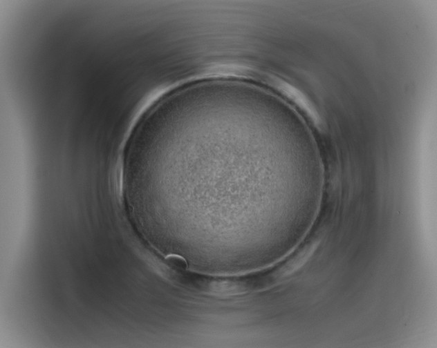 X0000115501275200911131314