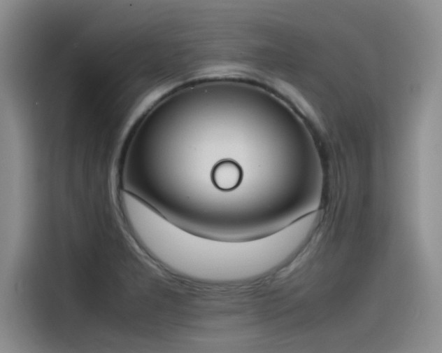 X0000115501277200911131314