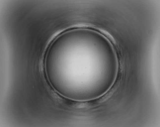 X0000115501279200911131314