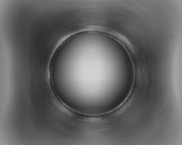 X0000115501280200911131313