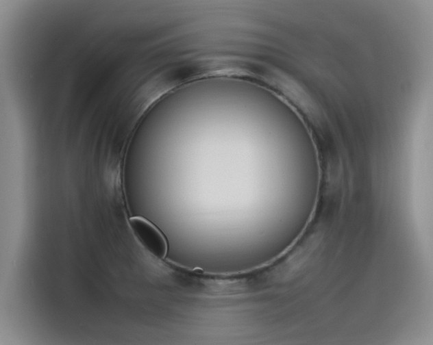 X0000115501281200911131313