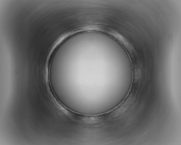 X0000115501286200911131313