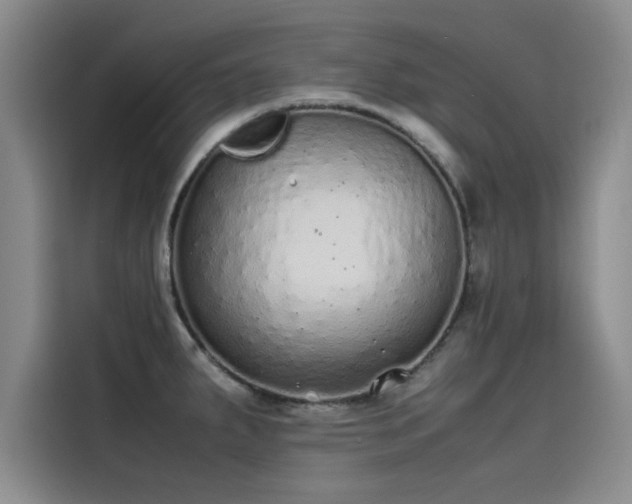 X0000115501287200911131313
