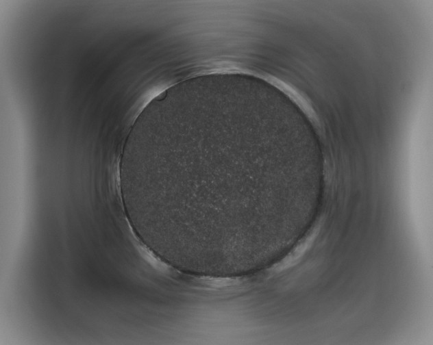 X0000115501289200911131313
