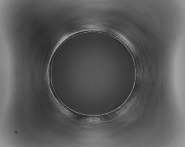 X0000115501291200911131313