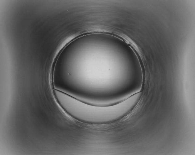X0000115501293200911131313
