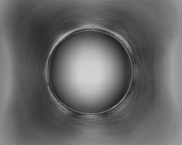 X0000115501295200911131313