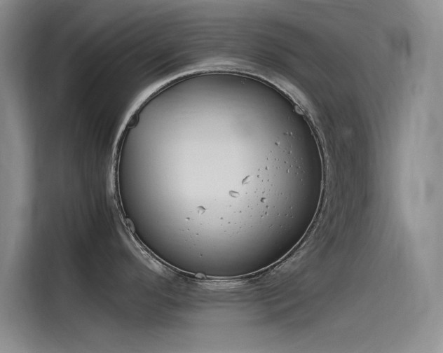 X0000115501296200911131313