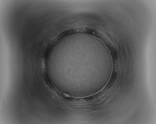 X0000115501298200911131313