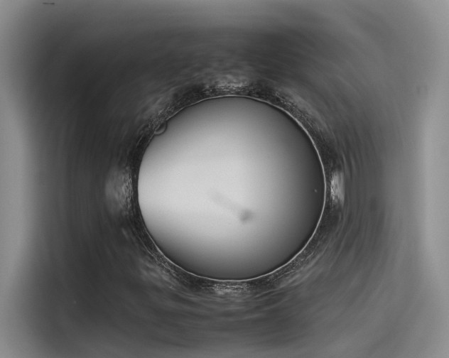 X0000115501299200911131313