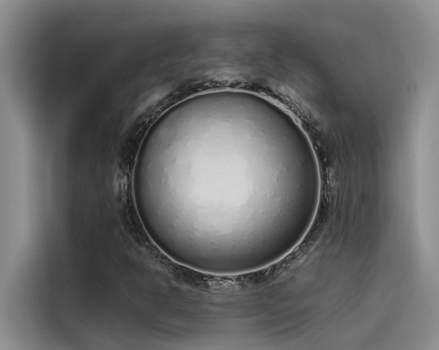 X0000115501302200911131313