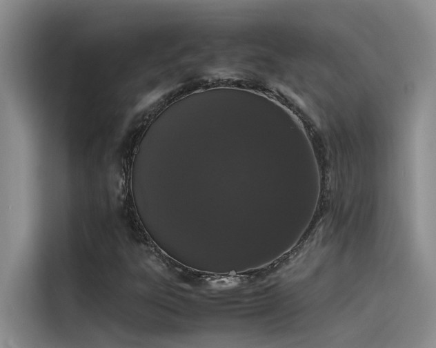 X0000115501303200911131313