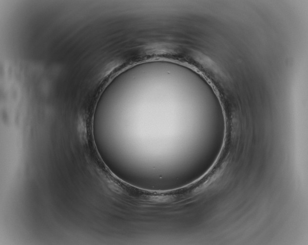X0000115501305200911131313