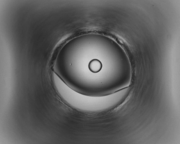 X0000115501309200911131313