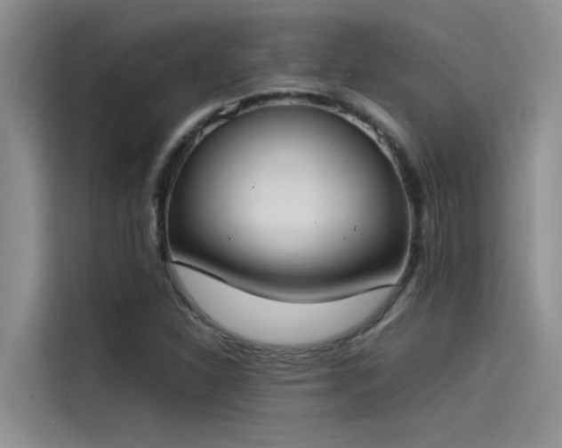 X0000115501310200911131313