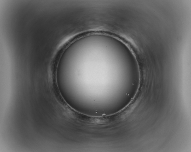 X0000115501311200911131313