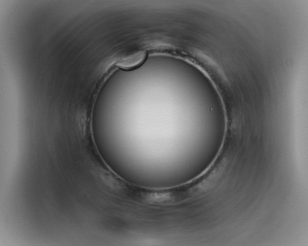 X0000115501313200911131313