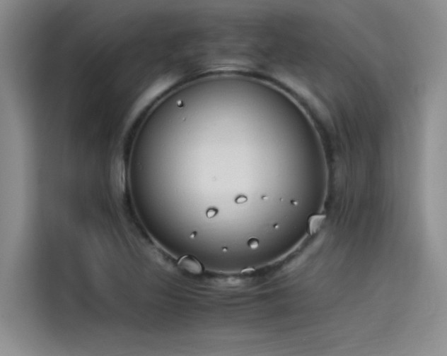 X0000115501317200911131313