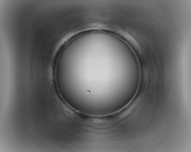 X0000115501318200911131313