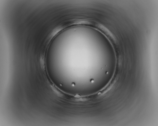 X0000115501321200911131313
