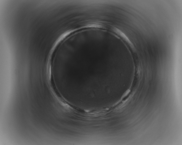 X0000115501323200911131313