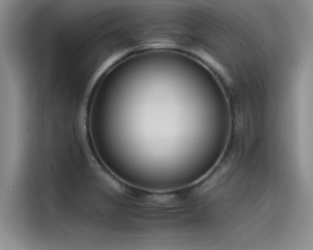 X0000115501325200911131313