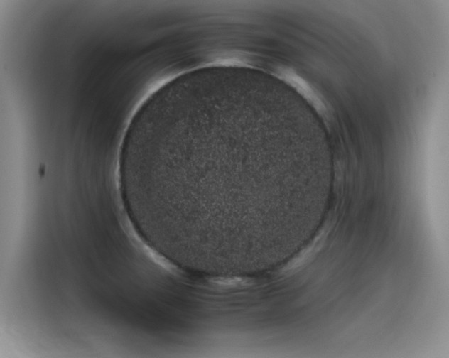 X0000115501331200911131313