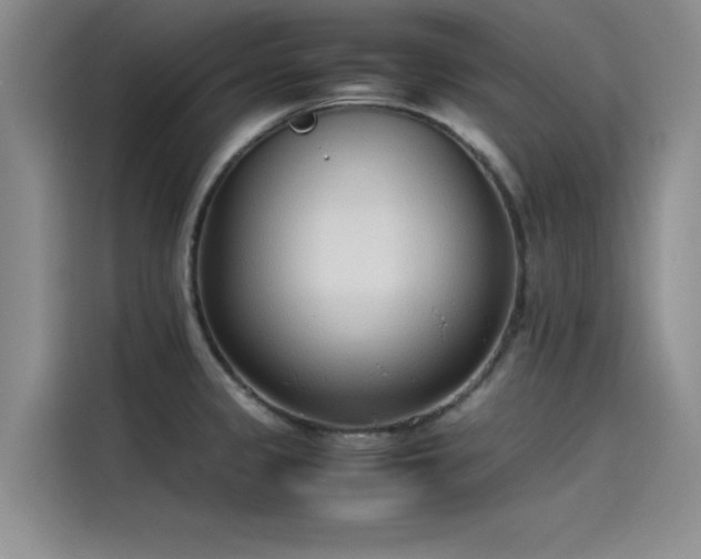 X0000115501333200911131313