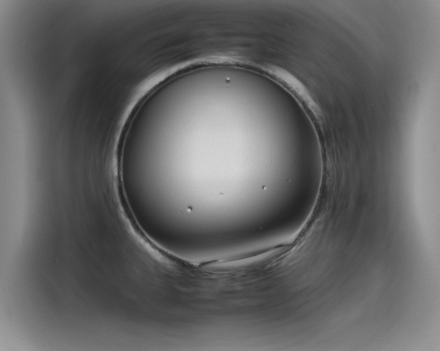 X0000115501335200911131313