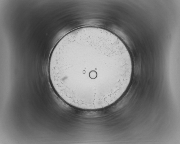 X0000115501338200911131313