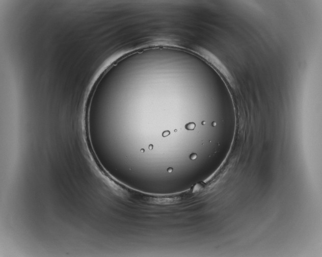 X0000115501339200911131313