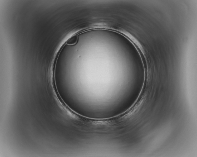 X0000115501341200911131313