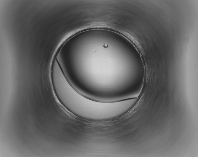 X0000115501342200911131313