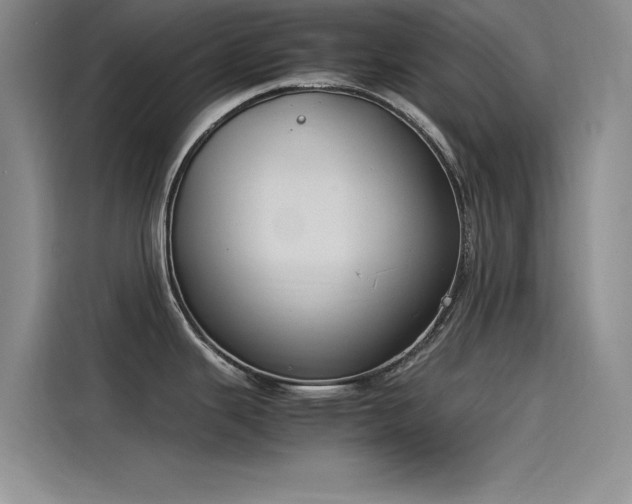 X0000115501343200911131313