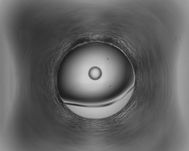 X0000115501345200911131313