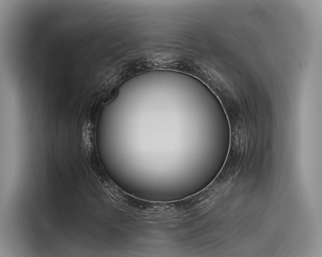 X0000115501346200911131313