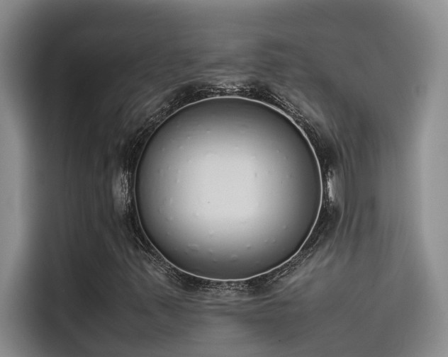 X0000115501347200911131313