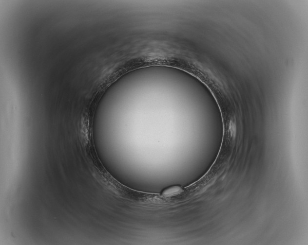 X0000115501348200911131313