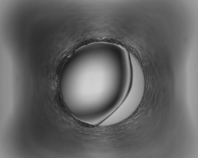 X0000115501349200911131313
