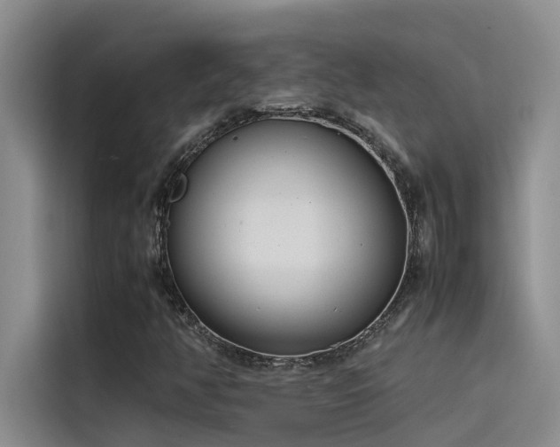 X0000115501350200911131313