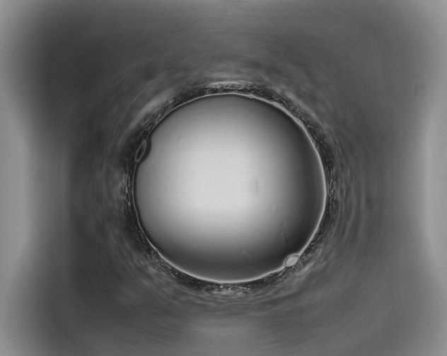 X0000115501351200911131313